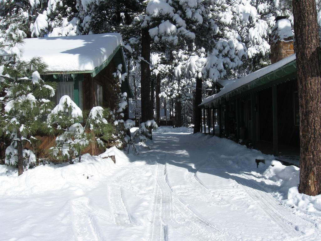 Timberlodge Inn Pinetop-Lakeside Room photo
